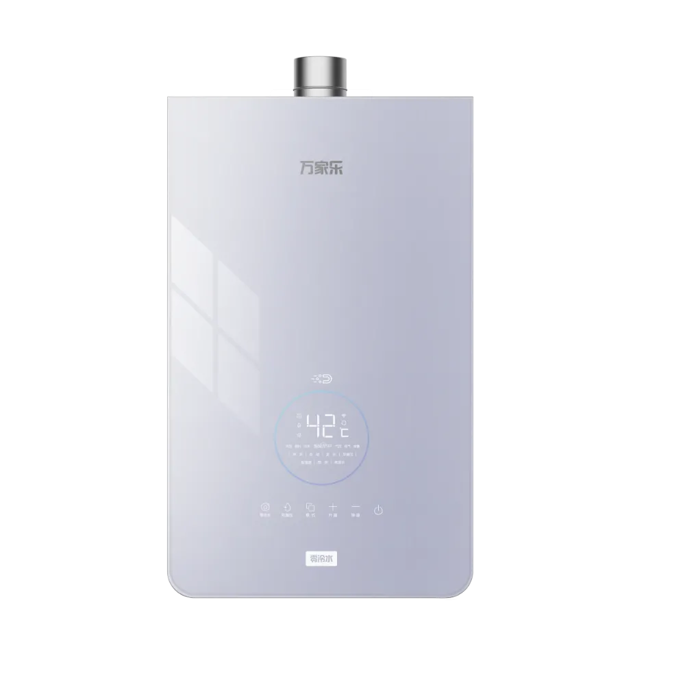 Gas Water Heater Z6L