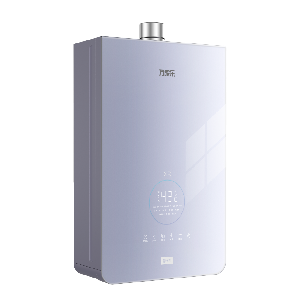 Gas Water Heater Z6L