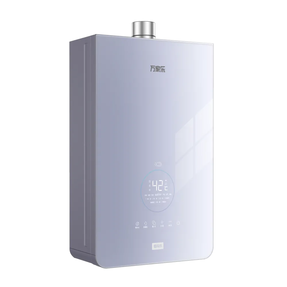 Gas Water Heater Z6L