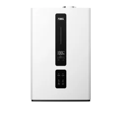 Wall-hung Gas Boiler R1