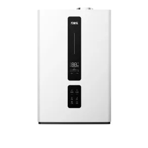 Wall-hung Gas Boiler R1