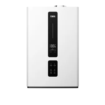Wall-hung Gas Boiler R1