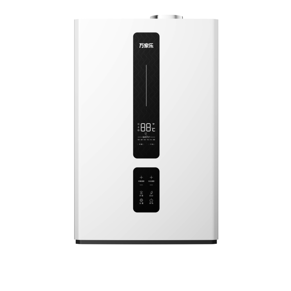 Wall-hung Gas Boiler R1