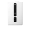 Wall-hung Gas Boiler R1