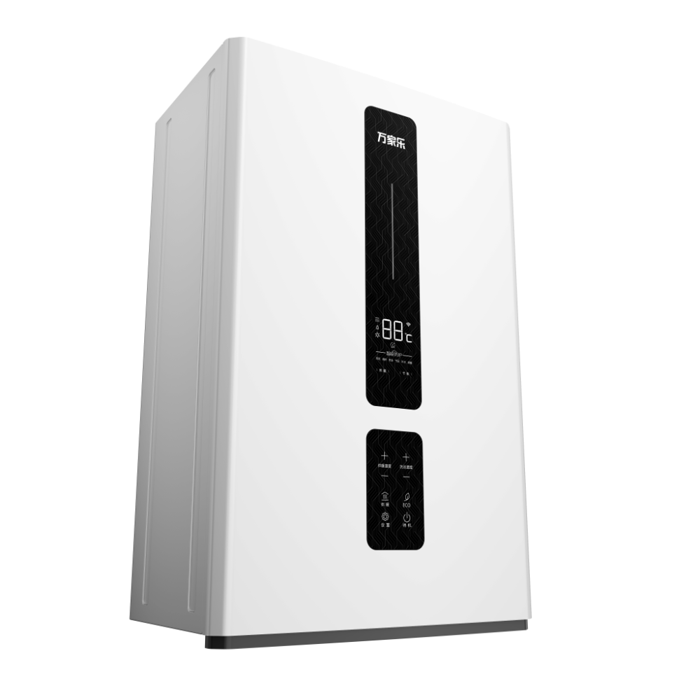 Wall-hung Gas Boiler R1