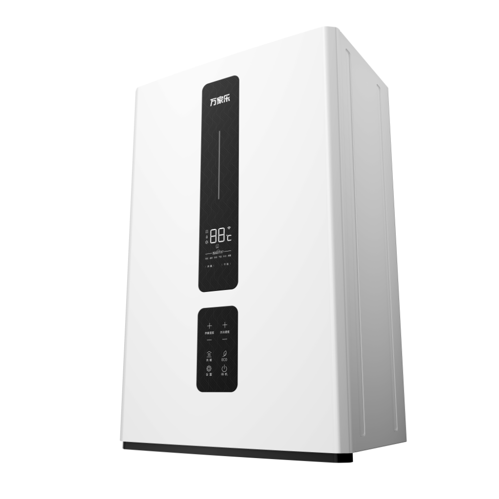 Wall-hung Gas Boiler R1