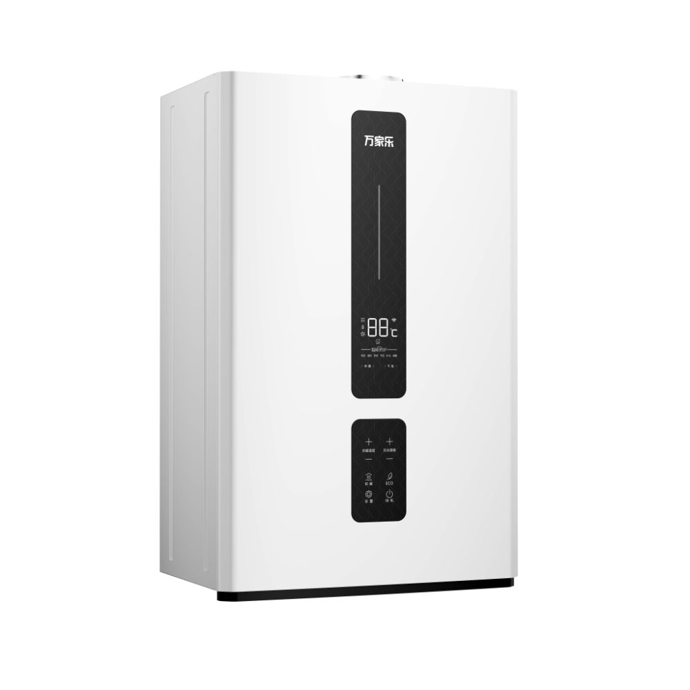 Wall-hung Gas Boiler R1