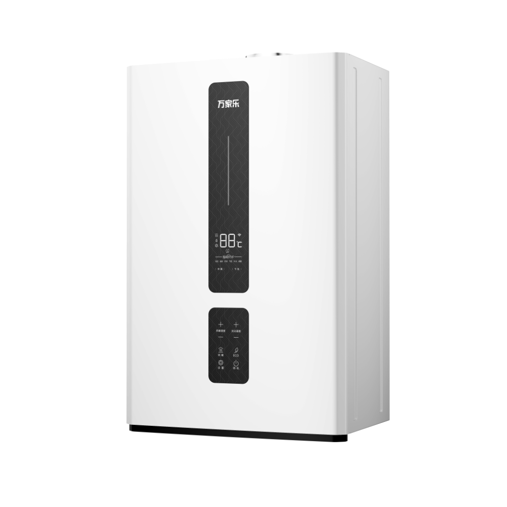 Wall-hung Gas Boiler R1