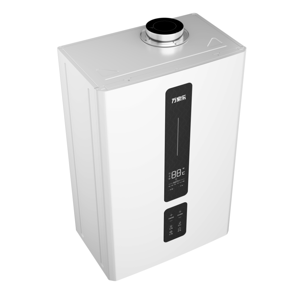 Wall-hung Gas Boiler R1