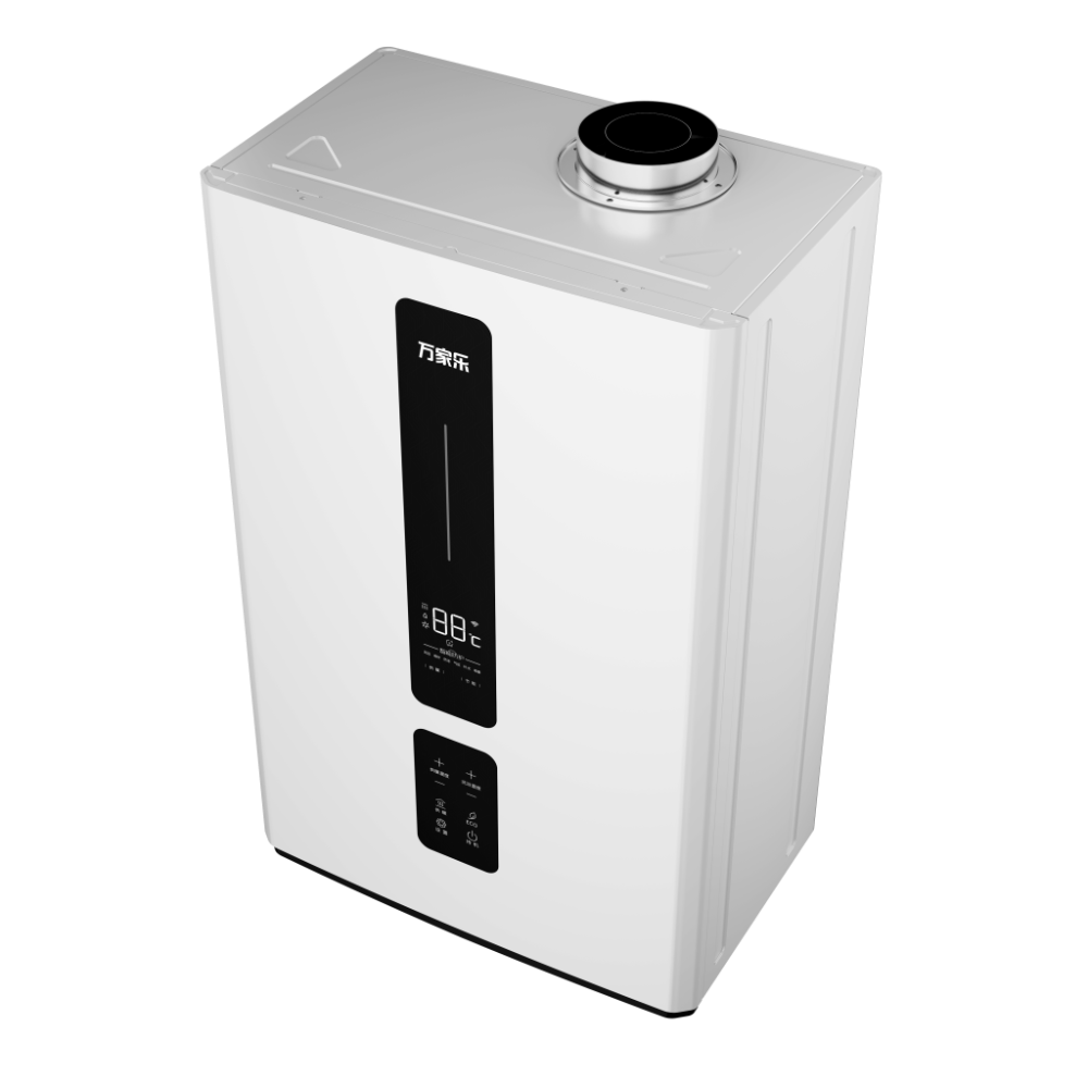 Wall-hung Gas Boiler R1