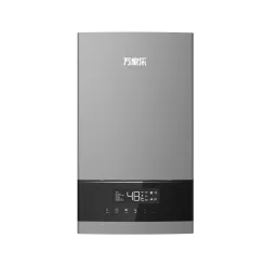 Wall-hung Gas Boiler B6A