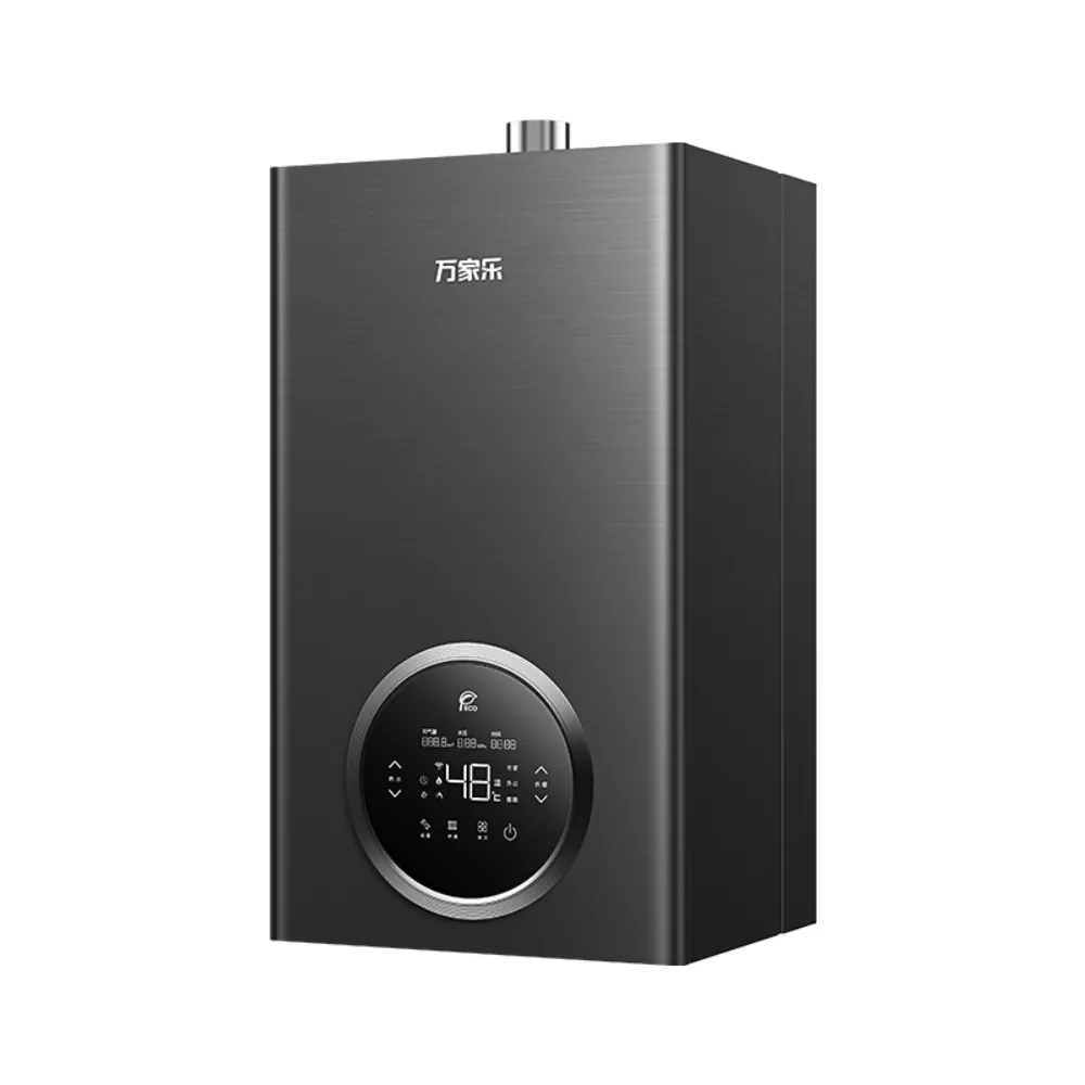 Wall-hung Gas Boiler R6