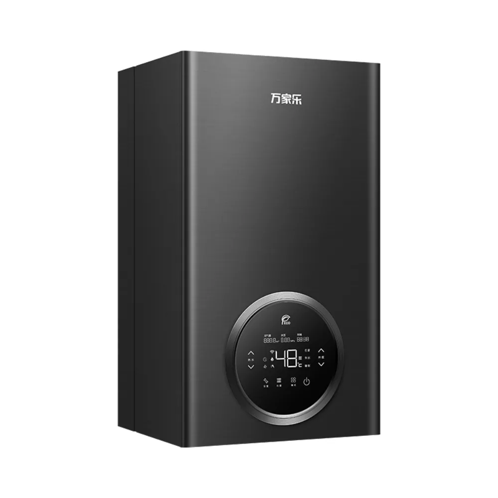 Wall-hung Gas Boiler R6