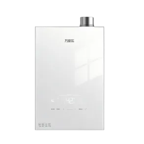 Gas Water Heater A2W