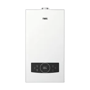 Wang-hung Gas Boiler RW