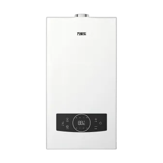 Wang-hung Gas Boiler RW