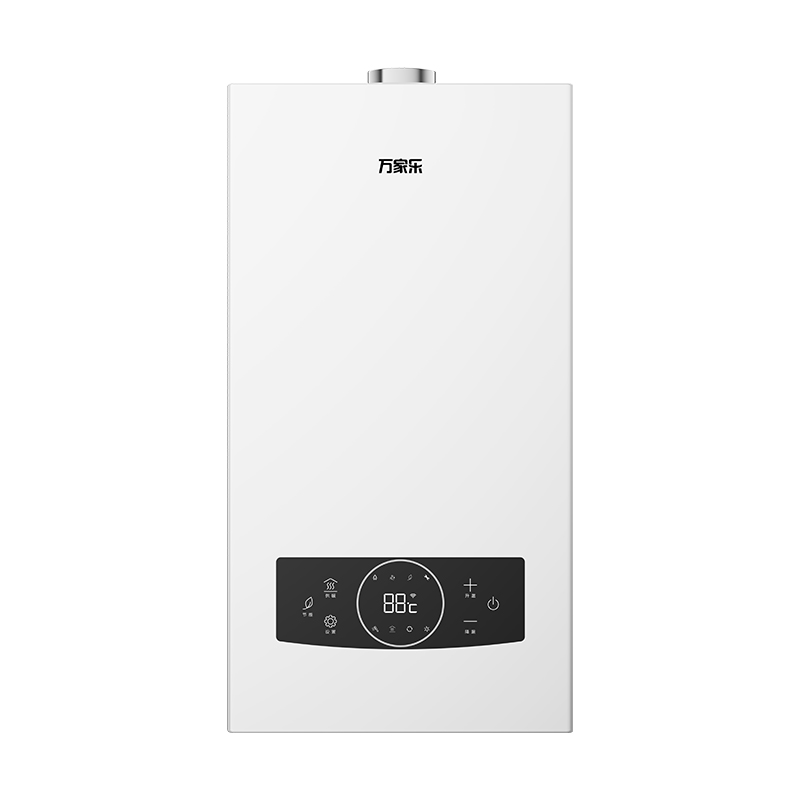 Wang-hung Gas Boiler RW
