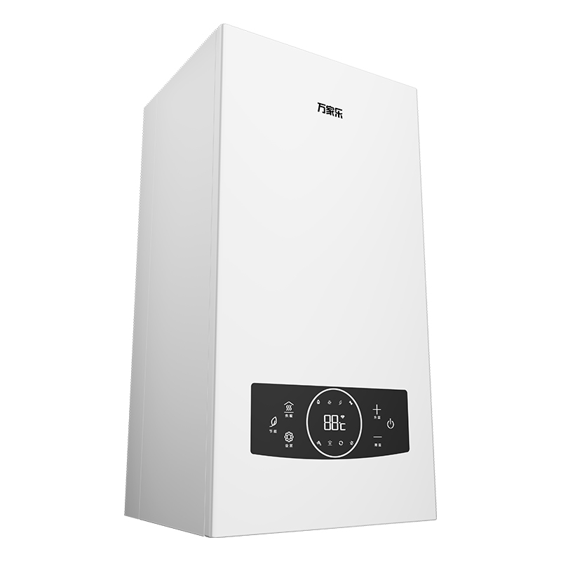 Wang-hung Gas Boiler RW