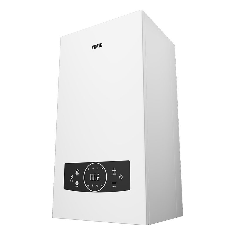 Wang-hung Gas Boiler RW