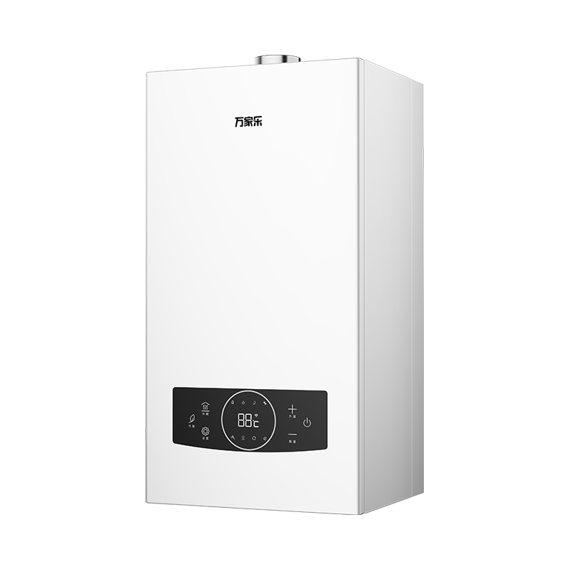 Wang-hung Gas Boiler RW
