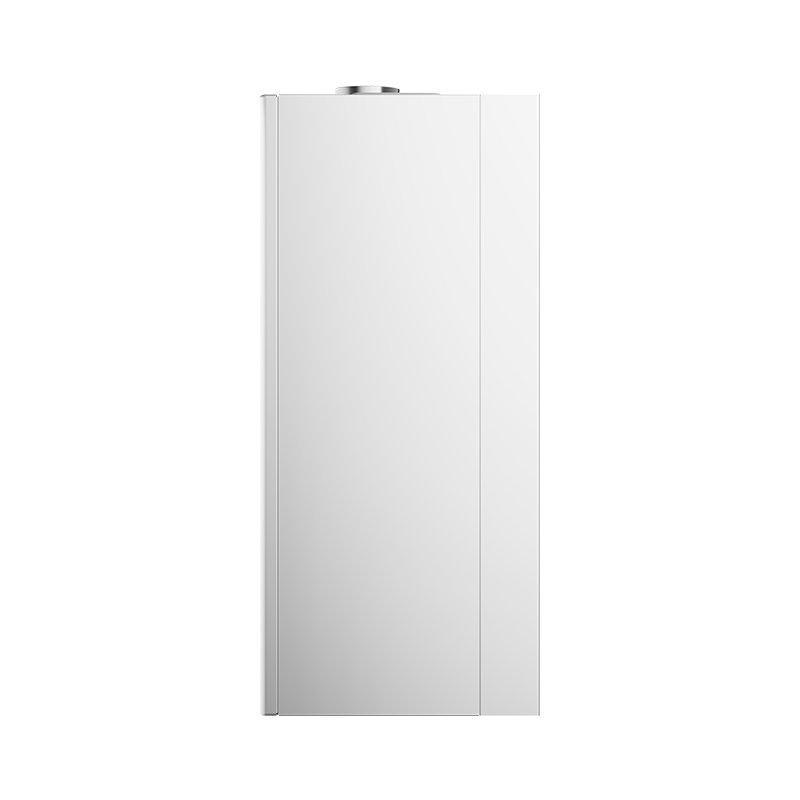 Wang-hung Gas Boiler RW