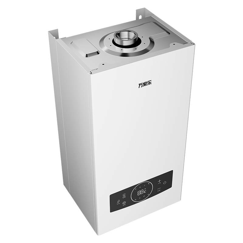 Wang-hung Gas Boiler RW