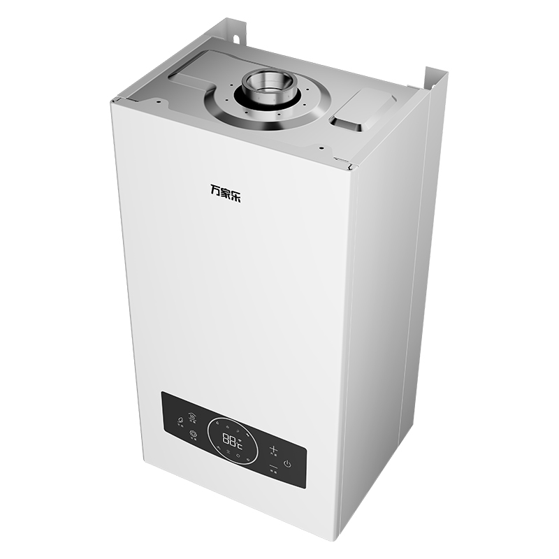 Wang-hung Gas Boiler RW