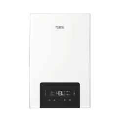 Wall-hung Gas Boiler G2