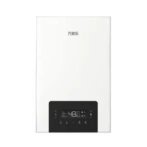 Wall-hung Gas Boiler G2