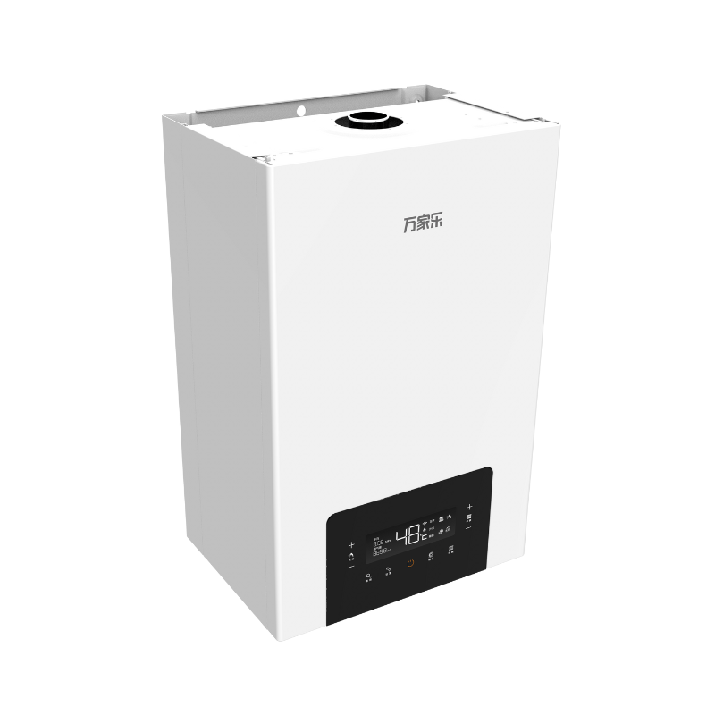 Wall-hung Gas Boiler G2
