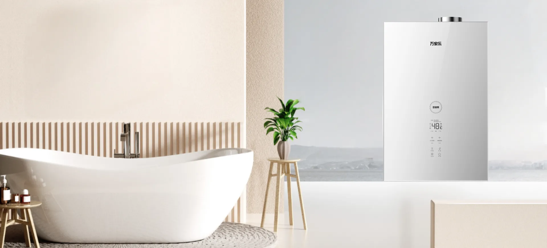 Wall-hung Gas Boiler D8